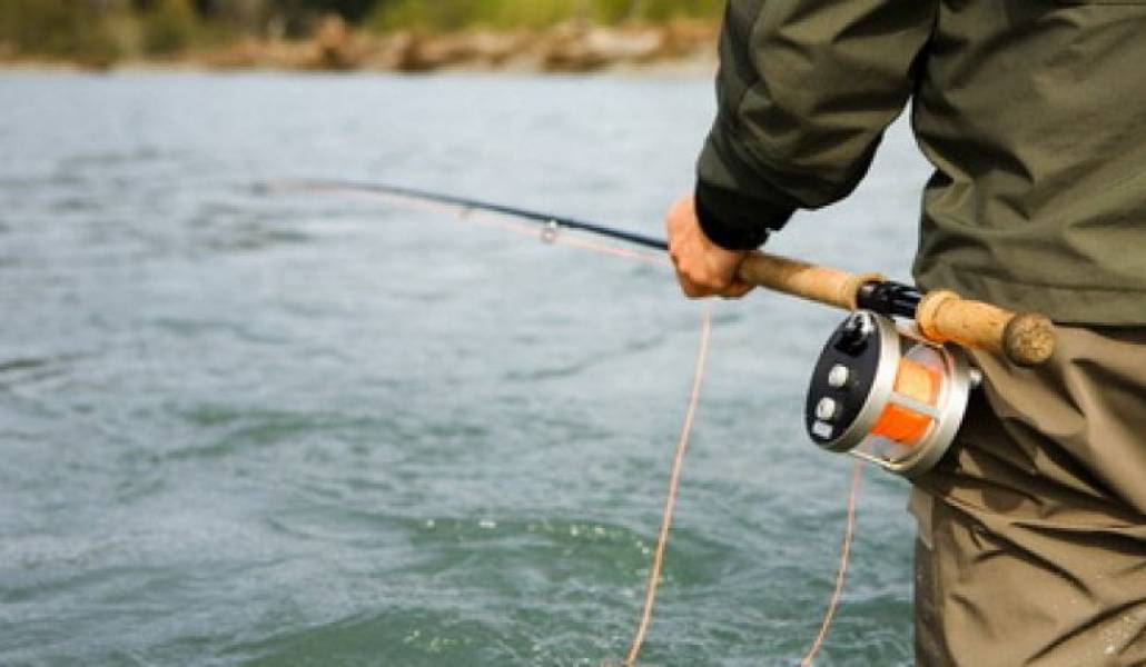 da334ee5ff7efcf80c2ab6e65fa656f9