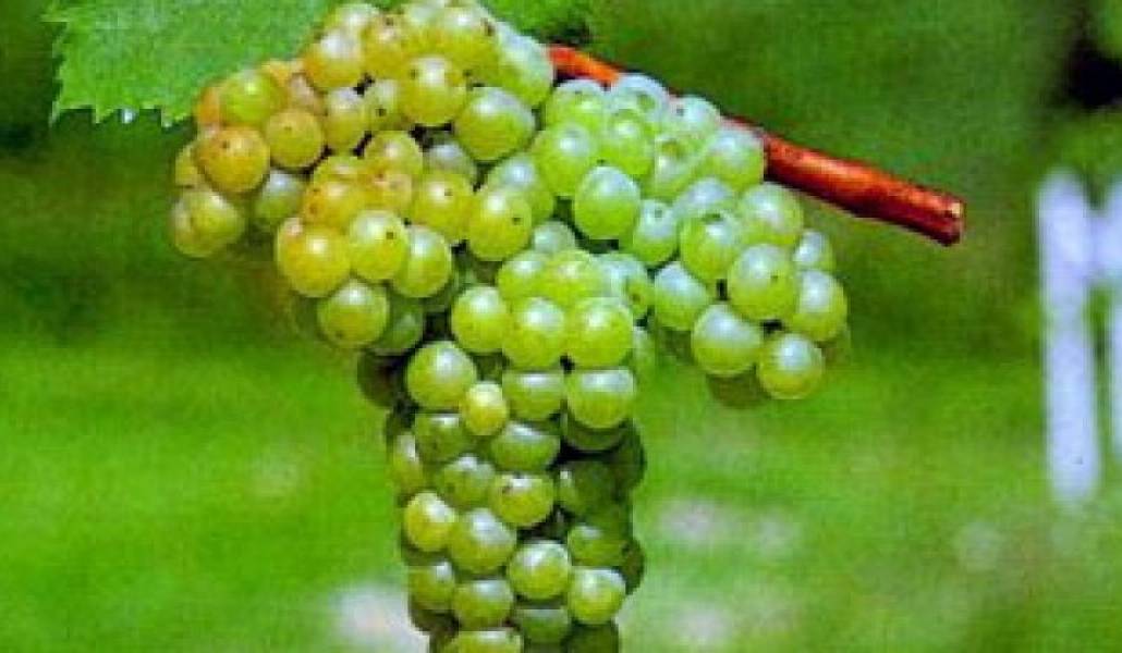 363745c5d4e081b64414c6b67fd139d7