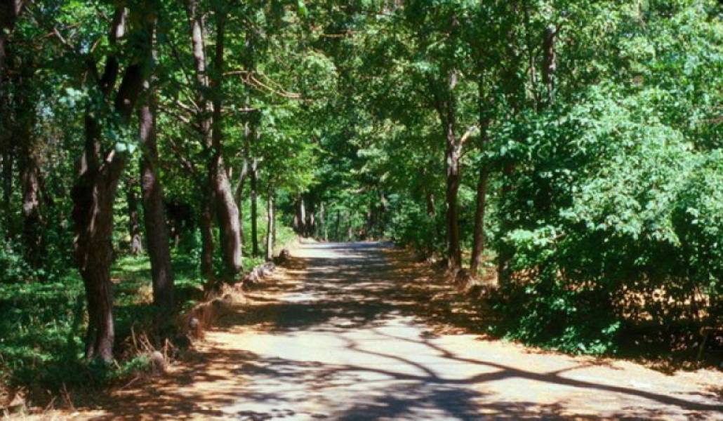 6ea374b35ed4cf5857d4f67e84234c38