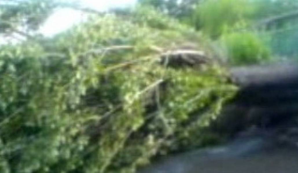 322cee071c649630b8e894f6d824e78d