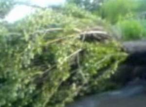 Последствия урагана