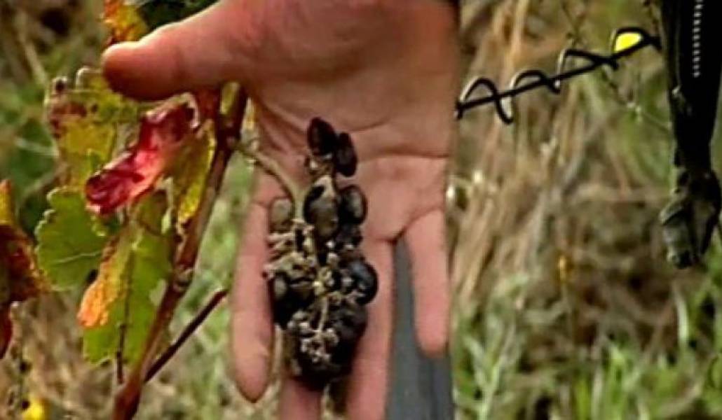 a6b8eaabb59e84713ed1c97aaa048d3d