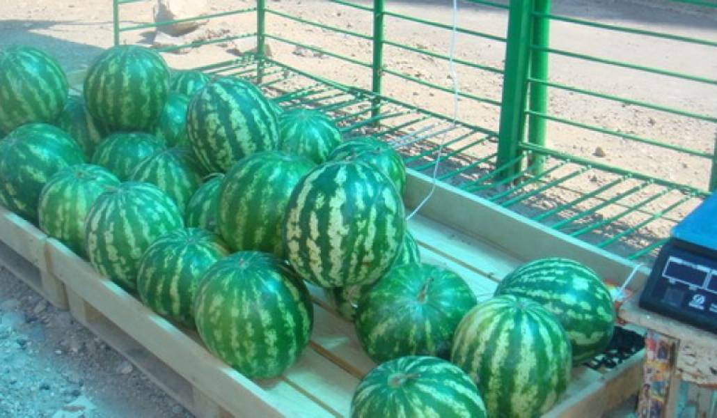 5a91329ce23dbb81d3cb8194503d730c