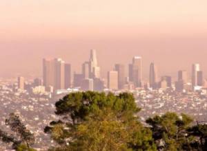 Заявление  консульства РА в Лос-Анджелесе