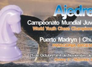 Разделили очки