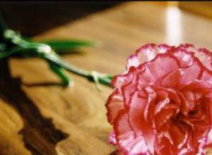 Умер отец Католикоса