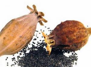 Обнаружили опиум