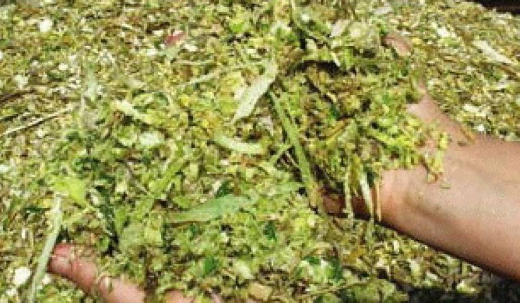 3e39a4e88b0f740ea54171a3318680d2