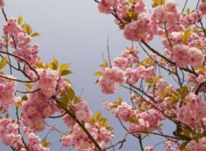 Понижение температуры продлится еще некоторое время