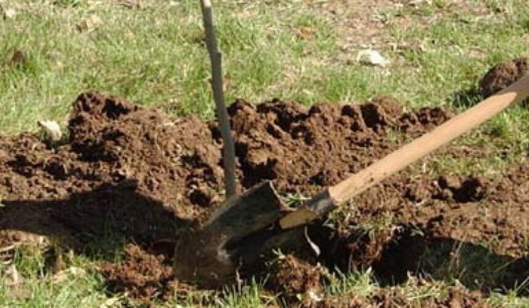 e66d2d97d1d5cc856769ae1185dab285