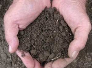 Земля больше не кормит