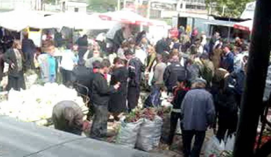 012637f91841c4da40c03e2e5a7fb637