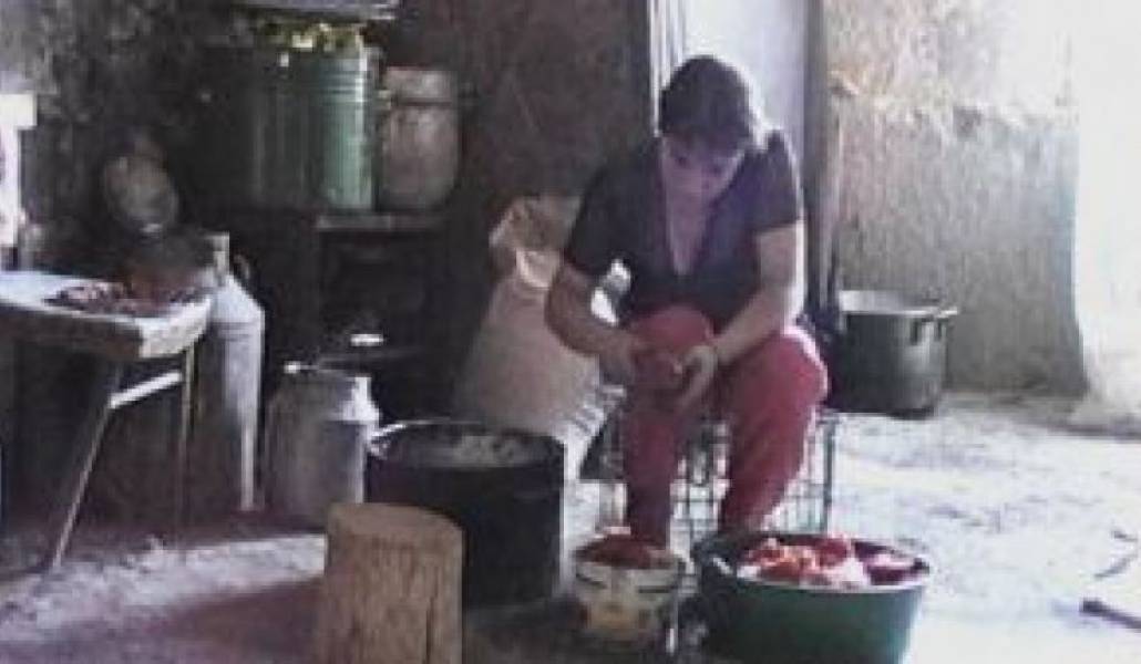 b612affc8d6a878d4fe3844940ff6a60