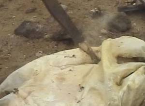 Правительство вспомнило о могильнике