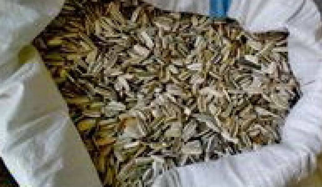 dd7248ec62d8d6e9ba79e3e457548f6e