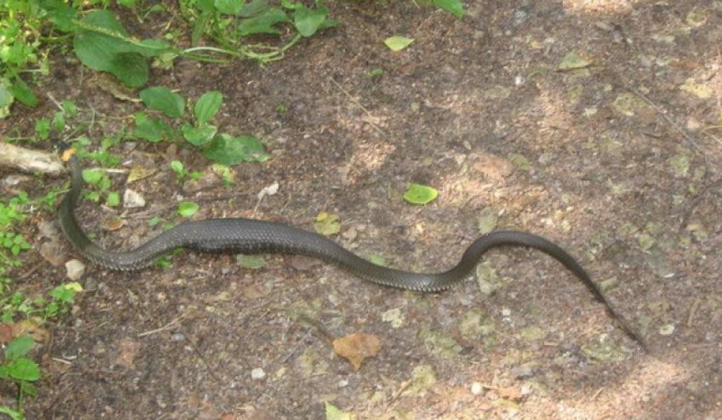 49107ca3cfef25404d019c0908ae9cfc