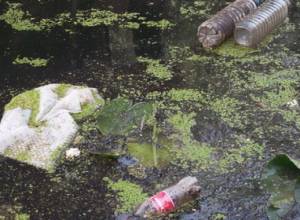 «Падающий в реку указателей не читает»