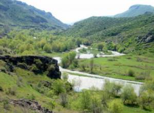 «Пока не знаем, что это за эпидемия»