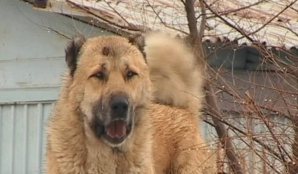 a2389c449440dfa55e7ccd1b1fed8887