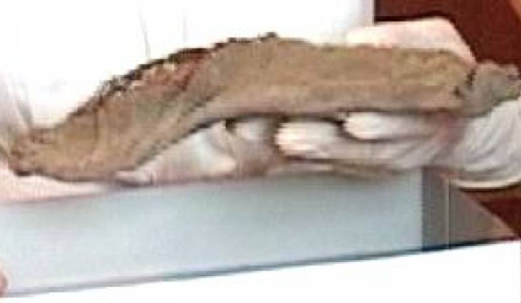 ad01081c344f224ec4a4409ea8c9a13b