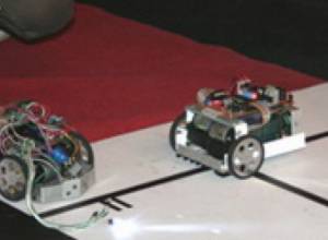 Ходят-бродят роботы