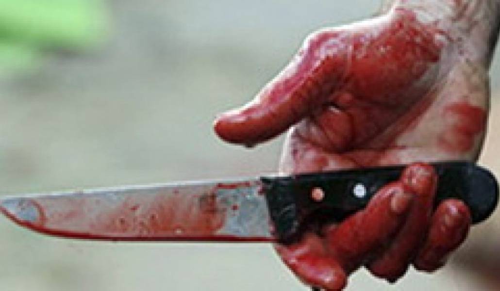 8bd6a8ebd0bcf1c6d1c0a870a8133642