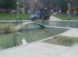 Дерево срубили по случаю визита Медведева