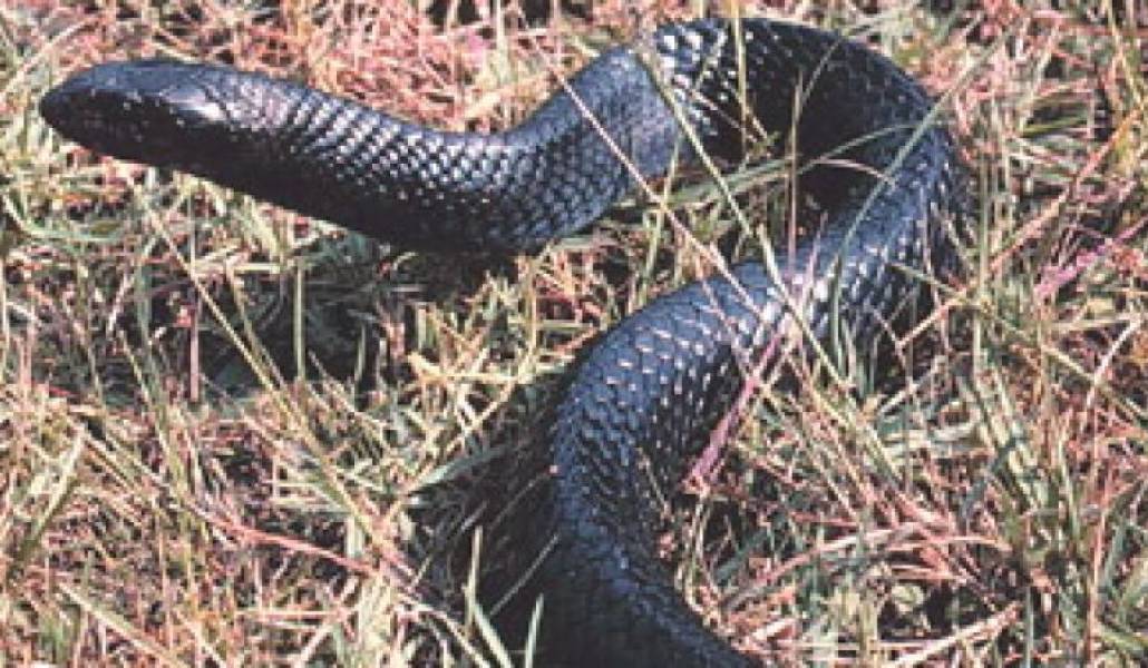 a6dc22c44f2dbccd05e7f00f59287b60