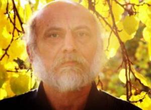 Бессрочная голодовка