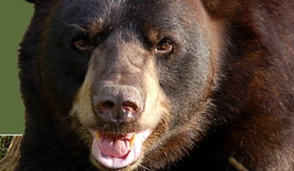 7f38893423066a9da6cc11f438de5d01