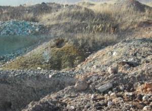 Первое заседание – по проблеме могильника