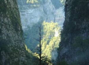 В ущелье найдено тело гражданина ИРИ