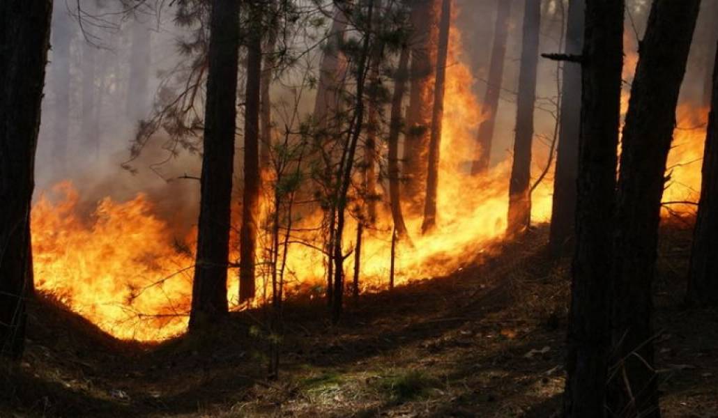 2162f47037bfe1c658a65c238eae47ff