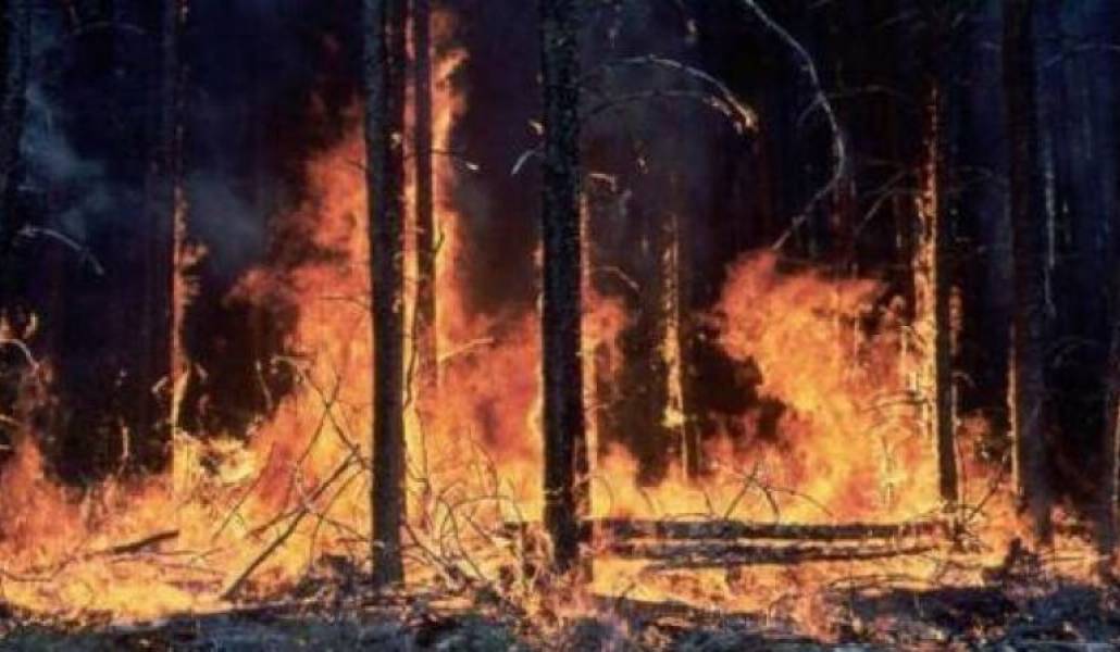 925b6803c09414dd82e26ade4f7594c9