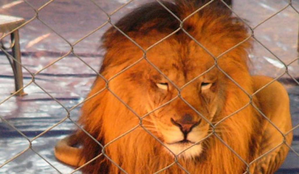 d246b8fa7f4fef5cdc9af19bbbc849c3