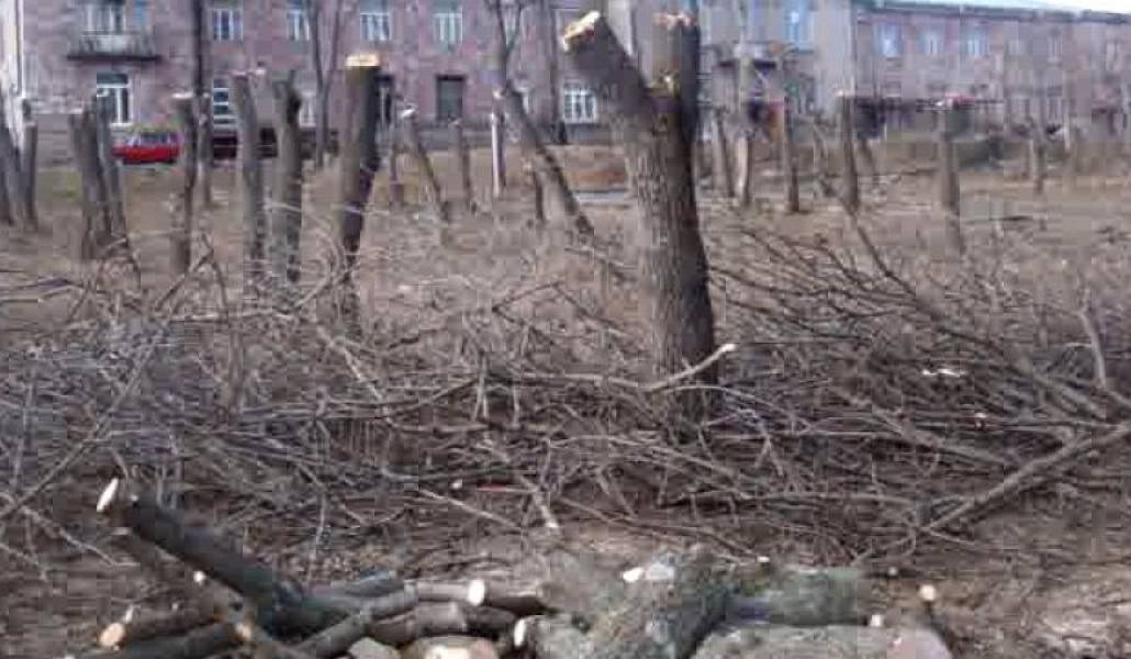 2251271a8b37f81860f6ddd58501bfa6