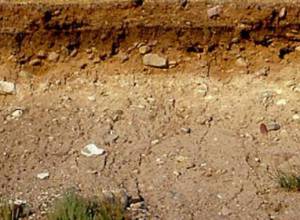 Крестьяне отказываются от земли