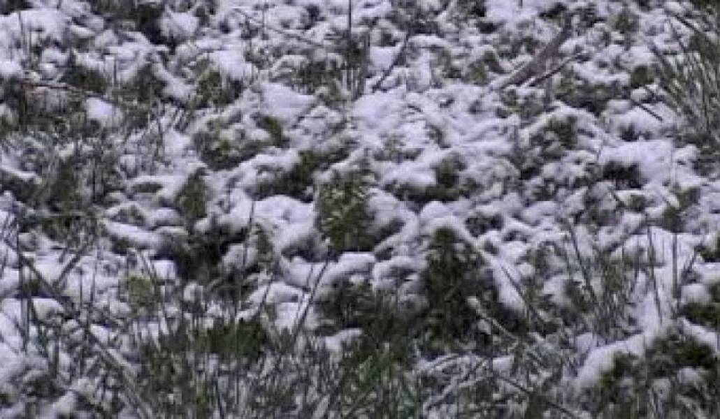 e14d6ce37975a9b54c05cf2c00299d25