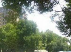 Зеленая зона превратится в торговый центр