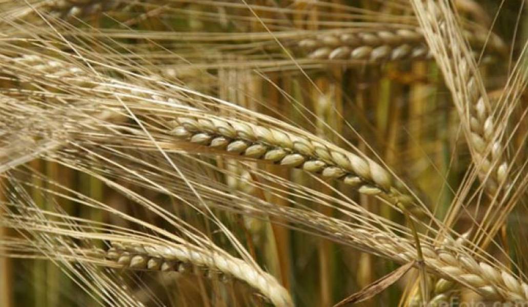 c5466e0eb06b2a7eb72f4662eae38f77