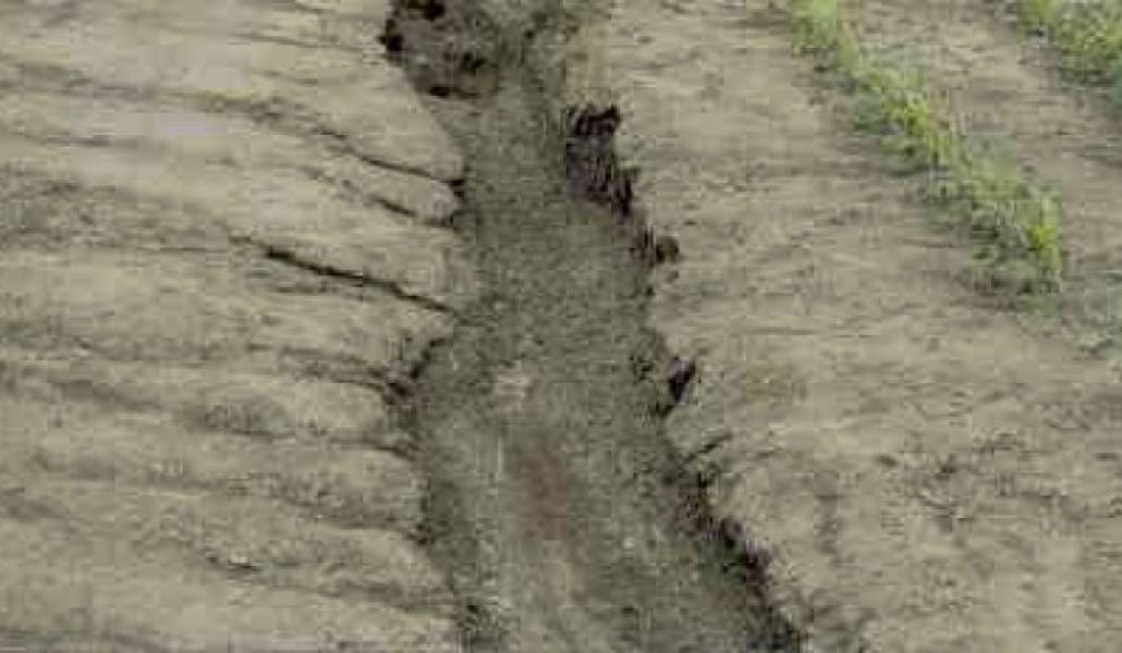 276f81223a884f6f1423082419e0bddb