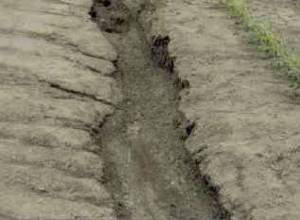 Треть земель подвергнута эрозии