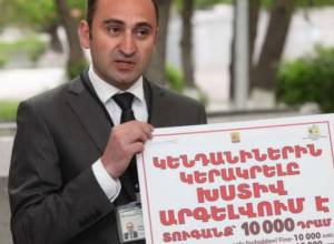 Штраф за кормление