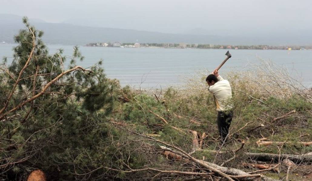 eeb4d9b3f2e08989cbe0f8ba12a87caf