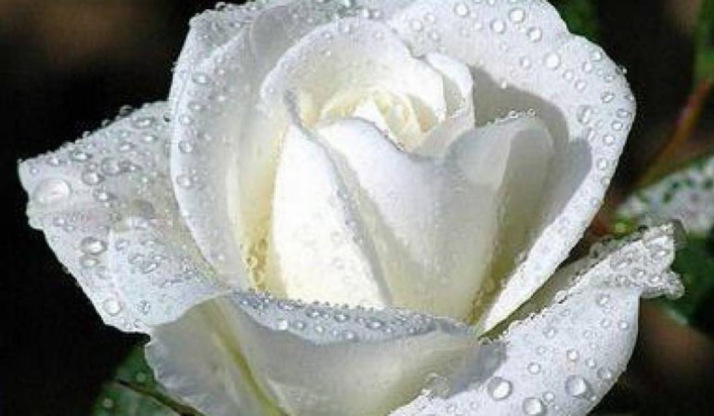 54689e2f1a8cba6cb449fdfec1ac7d0f