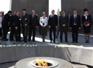 Очередная вечнозеленая ель