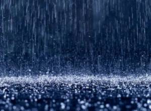 От дождя также пострадали телята