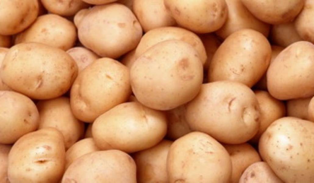 460ecde49e259974686590c757861b58