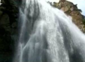 Министерство охраны окружающей среды не отвечает