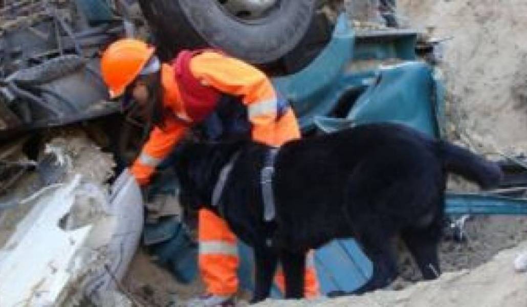 3e3c7e99864a3f8a6302a10de893357c